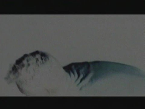 Spirit Trap (Die Geisterfalle) - Trailer