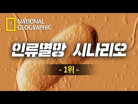 아이콘