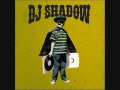 Dj Shadow - Giving up the Ghost