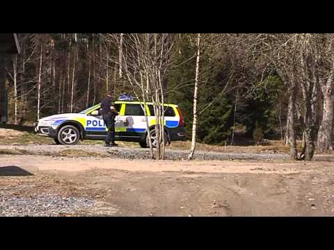 Kvinna med barn anfölls av vargar