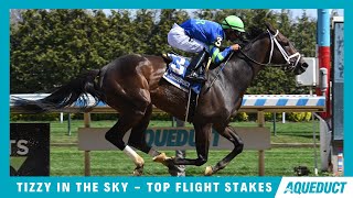 Tizzy In The Sky - 2024 - The Top Flight