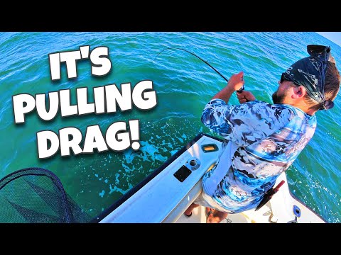 Biggest Fish of the Summer? Epic Fluke Fishing Adventure Long Island Sound