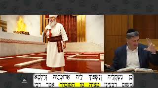 "יוצא זיין" 😐 לא הגעתי לעולם הזה רק כדי לצאת ידי חובה!