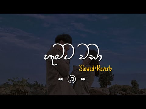 Hemata Wada - හැමට වඩා (Slowed+Reverb)