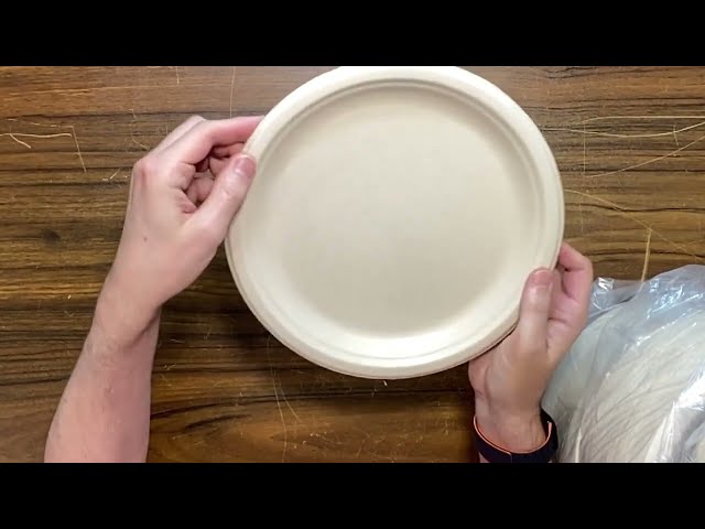 Best Durable Paper Plates for BBQs and Easy Cleanup - close-up view