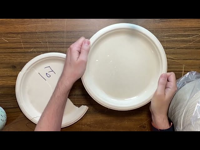 Best Durable Paper Plates for BBQs and Easy Cleanup - alternate angle