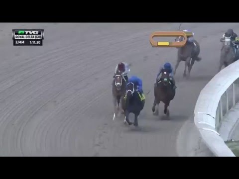 RACE REPLAY: 2016 Royal Delta Stakes