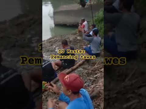 WISATA MANCING DI DESA ADISARA