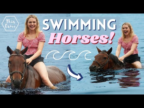 Swimming with Horses! | This Esme AD