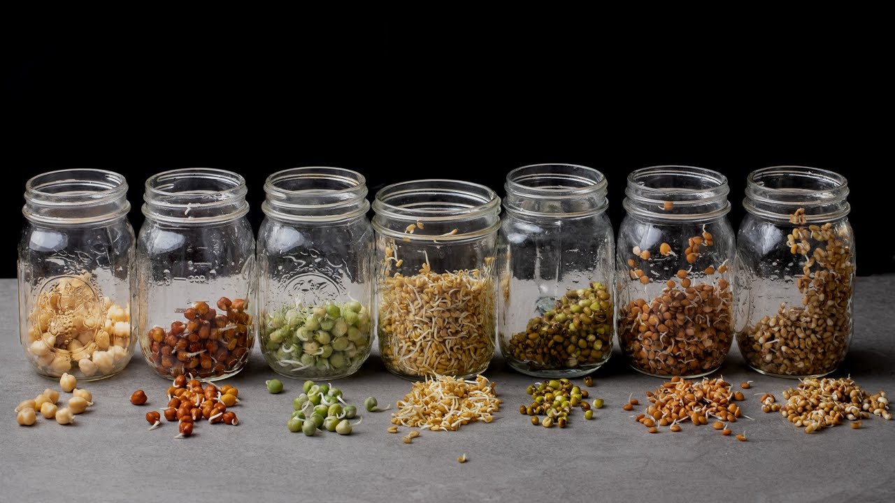 Thumbnail for Recipe Video