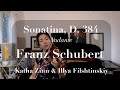 Schubert: Sonatina in D Major, D. 384, Allegro molto. Katha Zinn, Violin, Illya Filshtinskiy, piano.