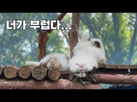 나는 땀으로 샤워하고 다니는데...부럽구나...