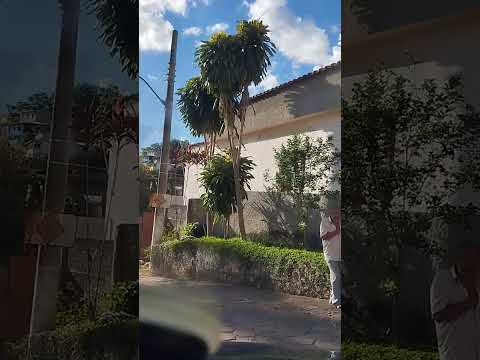 São Francisco do Glória -MG 