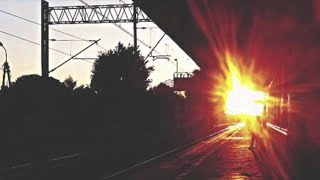 Guillemots - Sea Out (Cover by Lena Osińska)