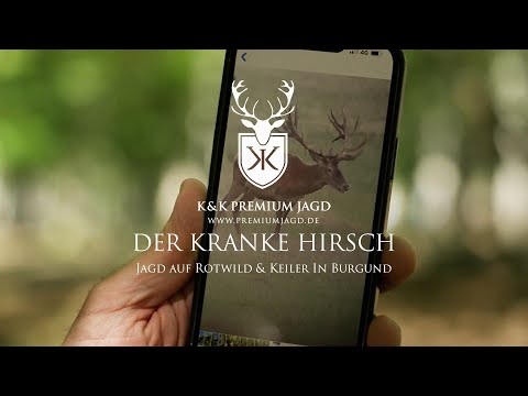 Der Kranke Hirsch - Jagd auf Rotwild & Keiler im Herzen von Frankreich in Burgund