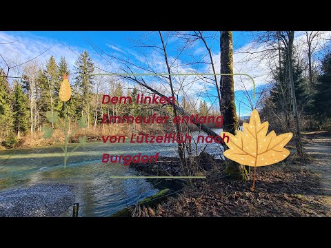 Dem linken Emmeufer entlang von Lützelflüh nach Burgdorf