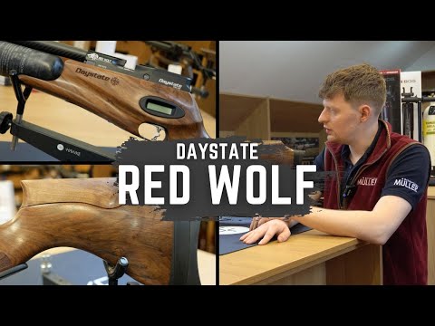 Daystate Red Wolf Air Rifle From Its Walnut Stock to Adjustable Settings & Much More!