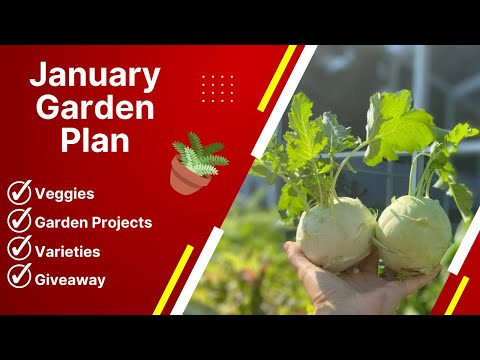 , title : 'JANUARY GARDEN PLAN REVEALED AND FREE SEED GIVEAWAY!'