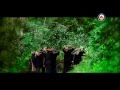 KANAKA MALAYIL SABARIMALA YATHRA Ayyappa Devotional Song Tamil HD Video Song