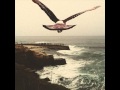 little bird- far east movement. MIX (unknown) 