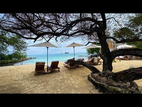 “Jamajka" Ramiz Jusufi Ciki ft. KAROLINA GOČEVA(macedonian disco version)