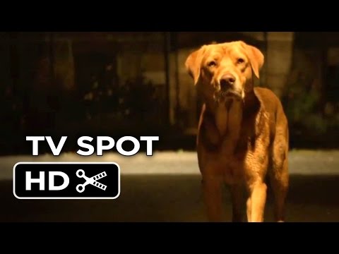 afbeelding White God TV SPOT - Cannes (2014) - Drama Movie HD