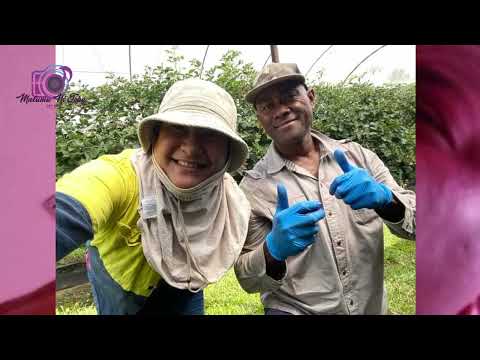 Malumu ni Tobu kei Naivaukura  - iLavo Ni Aussie iLavo Mosimosi (Official Music Video)