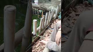 Download lagu Sunda Banten ngamuk #sundabanten #sunda #viralvideo #short mp3