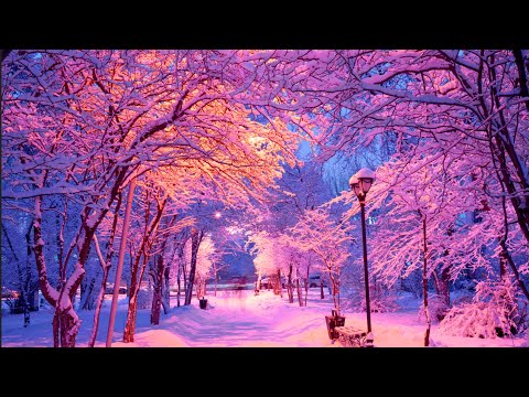 🌈 Beautiful Snow Scene Relaxing Music, Winter Peaceful Soothing Instrumental Sleep Music #0302