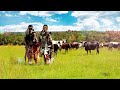 Inkabi Zezwe Sjava Big Zulu Iskhwele Official Visualiser