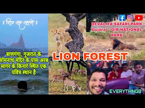 DEVALIYA SAFARI PARK | 🦁|Gir Interpretaion Zone | Sasan Gir Gujarat | बाणगंगा- गुजरात | EVERYTHING8