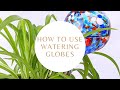 How to use Watering Globes