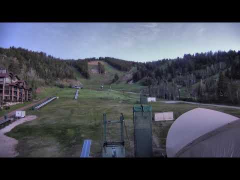 Live camera preview