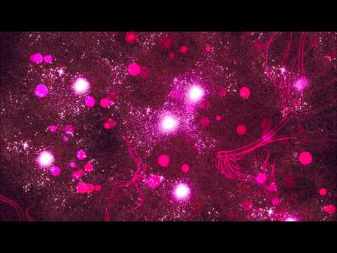 Feel So Close - Calvin Harris [OFFICIAL LYRICS].