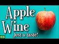 Tasting Our Apple Wine Well Was It Any GOOD