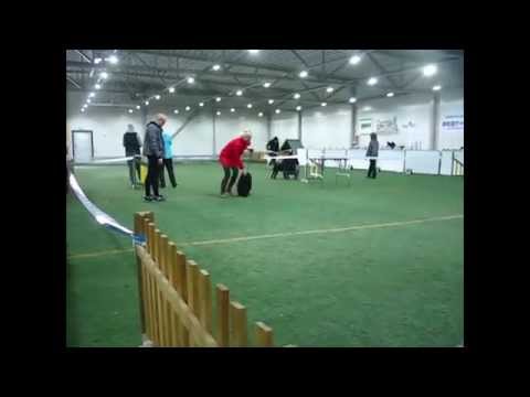 Kiranas Kadambari 'Viola' BIS I,  Match show Seinäjoki 21.04.2014