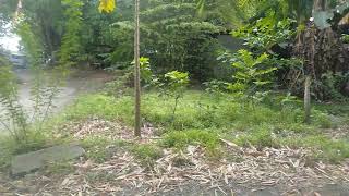 Download lagu berkunjung ke makam Raden Ayu Putri Ontjat Tondo Wurung desa terung wetan Sidoarjo #fyp #fypシ mp3