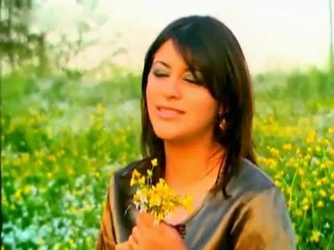 zara - sarmaşık gülleri