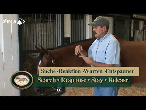 Verspannungen lösen mit der Blasen-Meridian-Technik - Masterson Methode™ | Jim Masterson