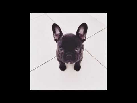 DJ Roshka feat. Farid Aqa – Onun O (Original Mix)