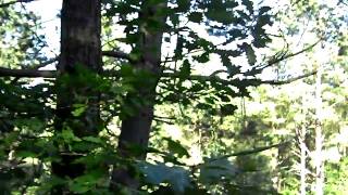 Burzum - &quot;Belus&#39; Død&quot;