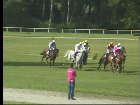 LL, 6. 7. 2016, 6. dostih - STCHCC Memoriál Evy Palyzové