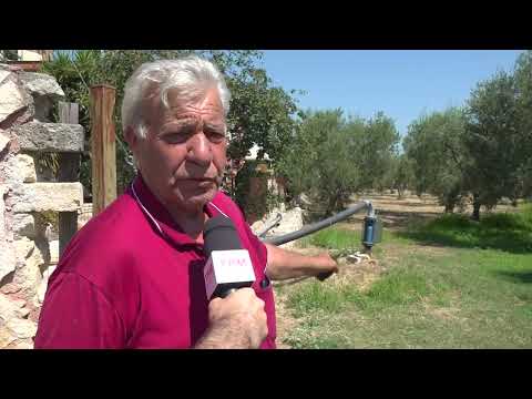 Terlizzi: A couple evicted for a €4,500 debt are seeking justice.