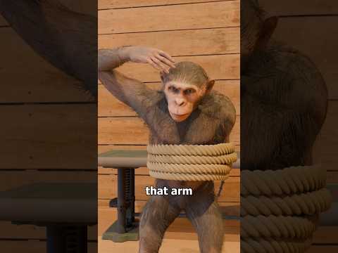 The Paralyzed Monkey Experiment 🐵