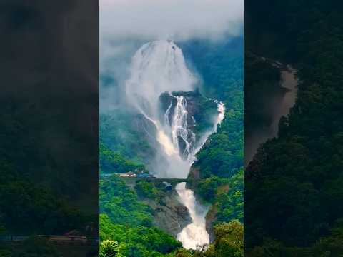 Beautiful Dudhsagar Waterfall || Goa |OMG! ITS SO HUGE ||DUDHSAGARWATERFALL|| GOA|| TRAVEL|| INDIA