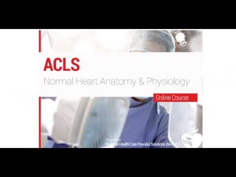 6. ACLS - Normal Heart Anatomy and Physiology