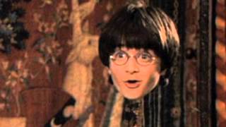 DAVID WILCOX &quot;THE HARRY POTTER SONG&quot;