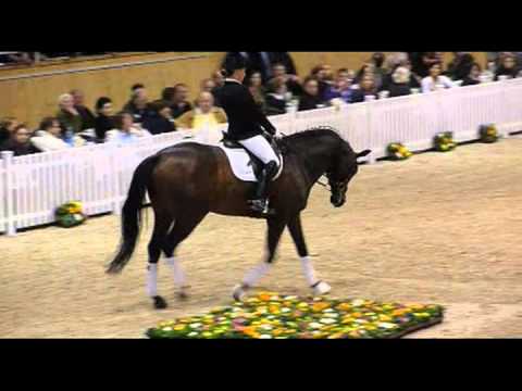 Demirel Hengstschau Aachen 2011