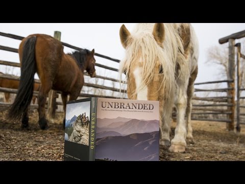 Unbranded Book Trailer