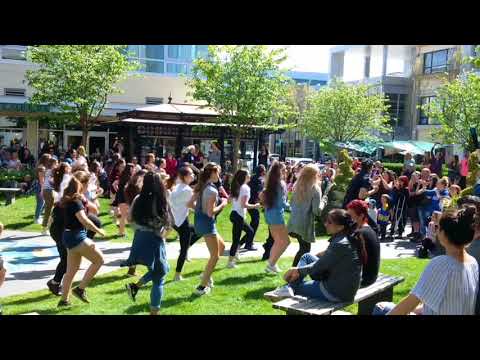 Bruno Mars Uptown Funk Cops Flash Mob